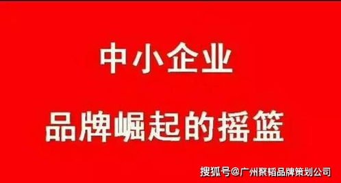 中小企業如何通過專業經濟貿易咨詢，高效打造品牌策劃